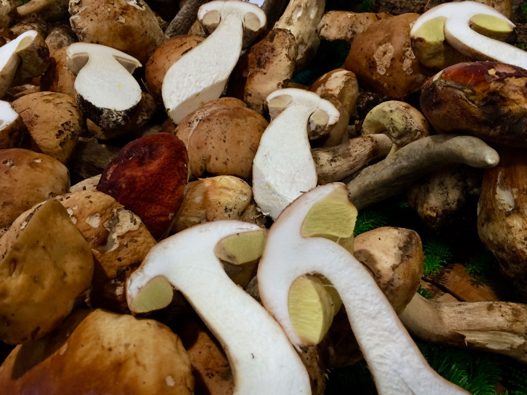 fresh porcini found at Marché Forville, Cannes, France