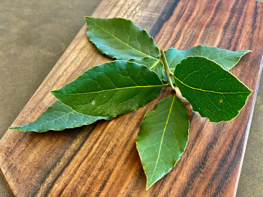 sweet bay laurel leaves from La Vie Rustic