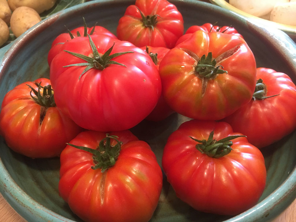 fresh tomatoes